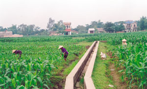 Thông báo kế hoạch giám sát về phát triển nông nghiệp, nông thôn, nông dân